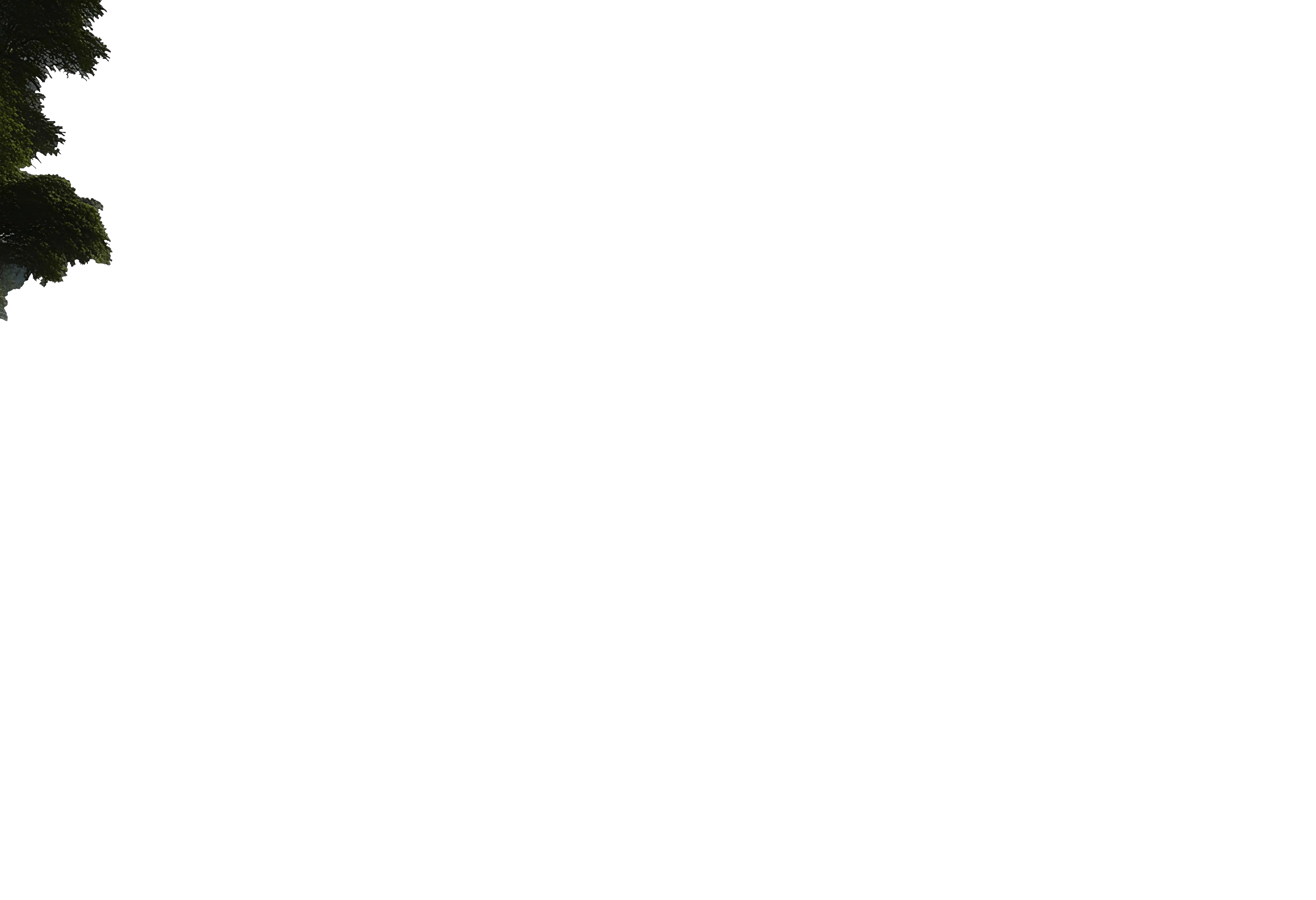 feuille gauche parallax