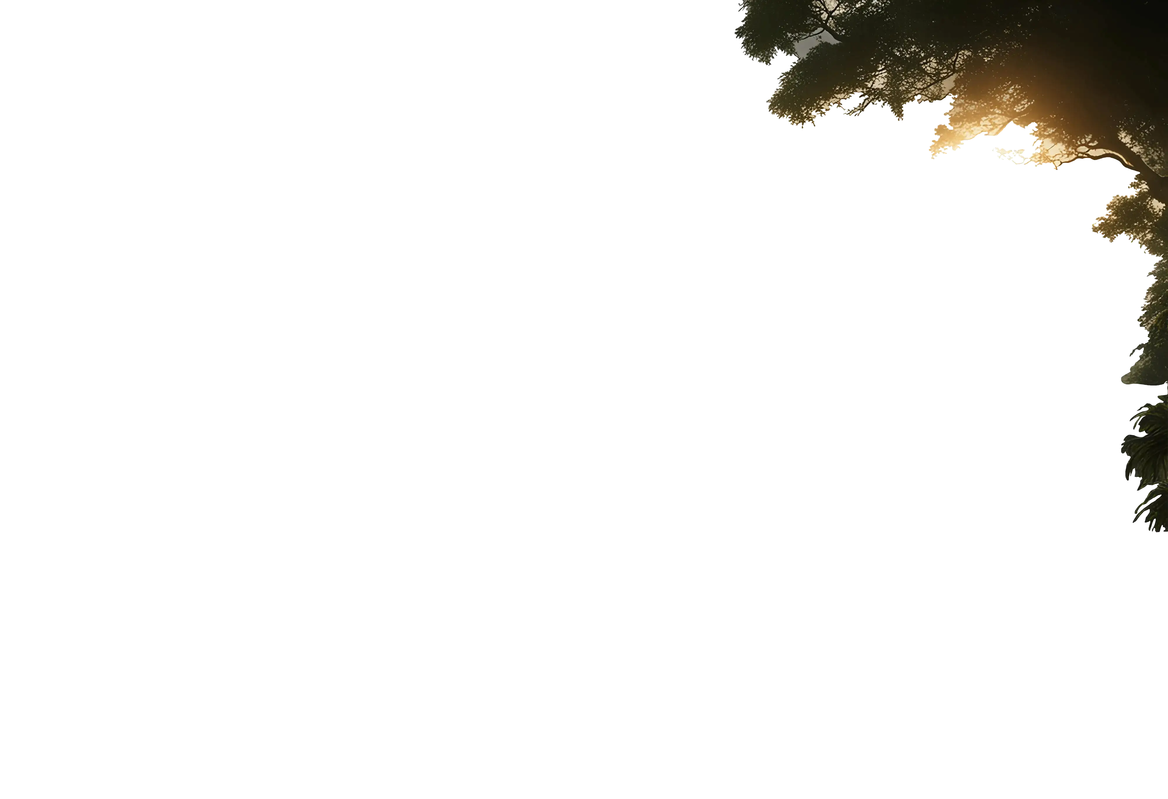 feuille droite parallax